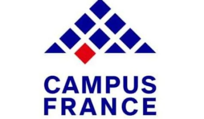 Admission en France : critères académiques et professionnels pour réussir votre dossier