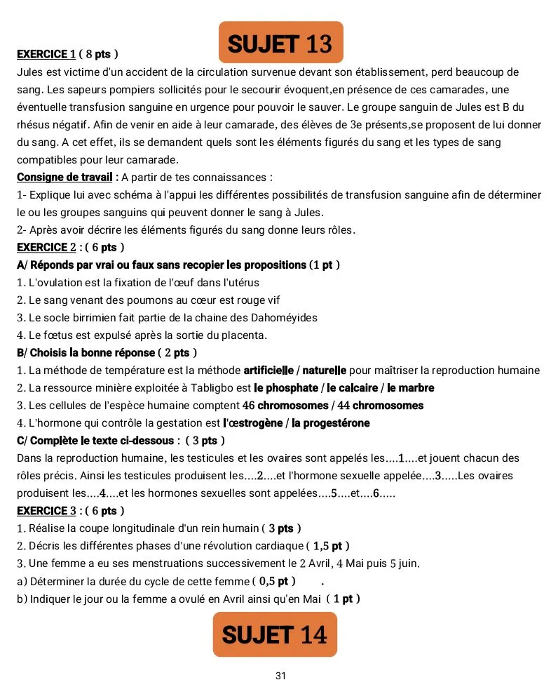 RÉVISION SVT 3E
