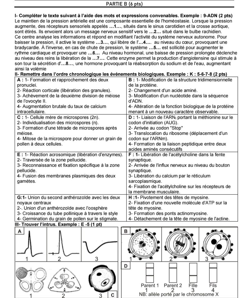 COMPO 2E SEMESTRE GRAND LOMÉ SVT TLE D 2026