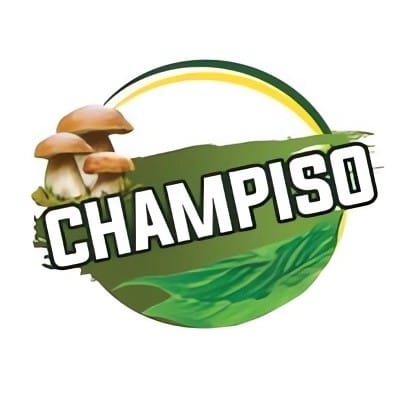 CHAMPISO GROUP Recrute à Lomé : 50 Agents Commerciaux et une Animatrice TikTok Live